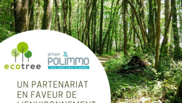 ecotree polimmo partenariat