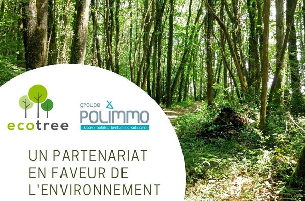 ecotree polimmo partenariat