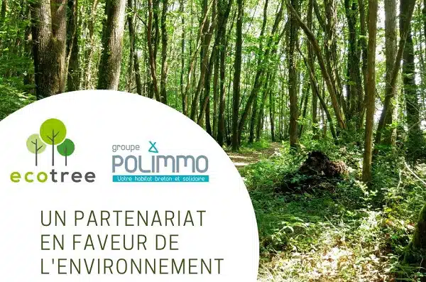 ecotree polimmo partnerschaft